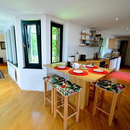 Green Haven Roofgarden Penthouse In Central Area Βιέννη Εξωτερικό φωτογραφία