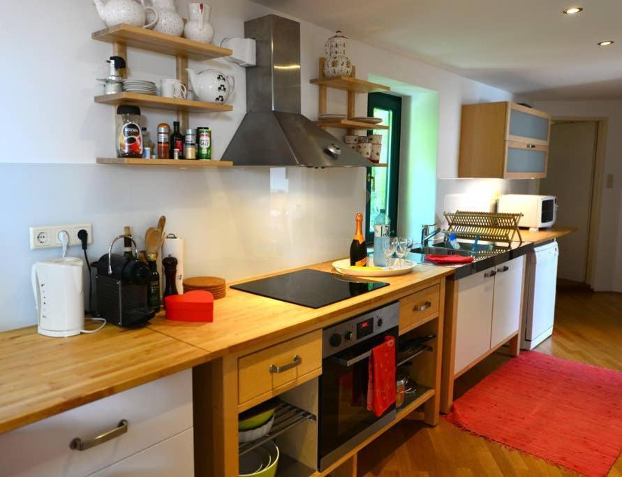 Green Haven Roofgarden Penthouse In Central Area Βιέννη Εξωτερικό φωτογραφία